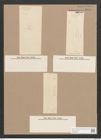 Pleurosigma nubecula W.Sm. (de-Toni-Nr.: Genus 13, Species 1006) Zeichnungen Sammlung Grunow Nr. 2045 (NHMW-BOT-W0368901)